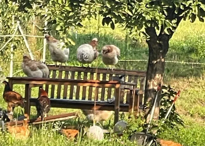 Beim Wiesbau'r Διαμέρισμα Pichl bei Wels