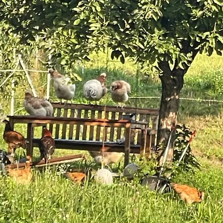 Beim Wiesbau'r Apartmán Pichl bei Wels